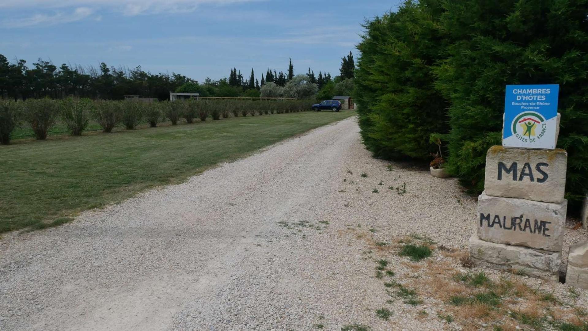 Mas Maurane - L'Olivier Avec Spa Prive Aux Portes D'Arles ตาฮาสคอง ภายนอก รูปภาพ